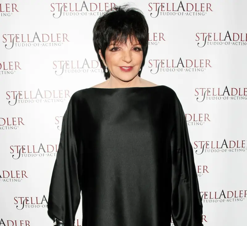 25-Things-You-Dont-Know-About-Me-Liza-Minnelli-2011