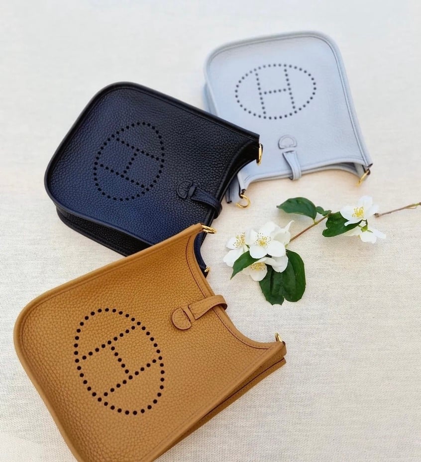 hermes evelyne,hermes mini evelyne,hermes evelyne bag Guide 2023