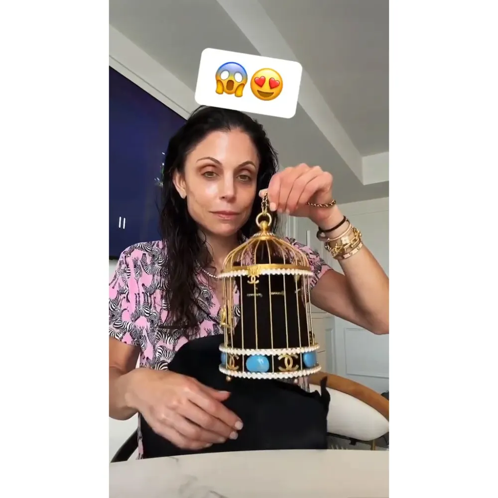 Bethenny Frankel Fans Have Strong Thoughts About Her 20000 Chanel Birdcage Bag 2
