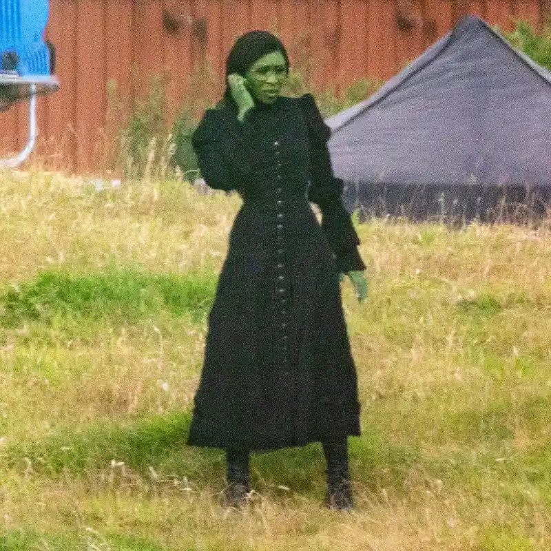 Cynthia Erivo Wicked Movie Comprehensive Guide to the Characters