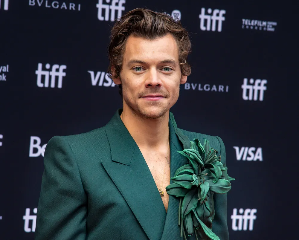 Harry Styles Blasts Out of a Canon, Walks the Tightrope in New Circus-Themed &lsquo;Daylight&rsquo; Music Video