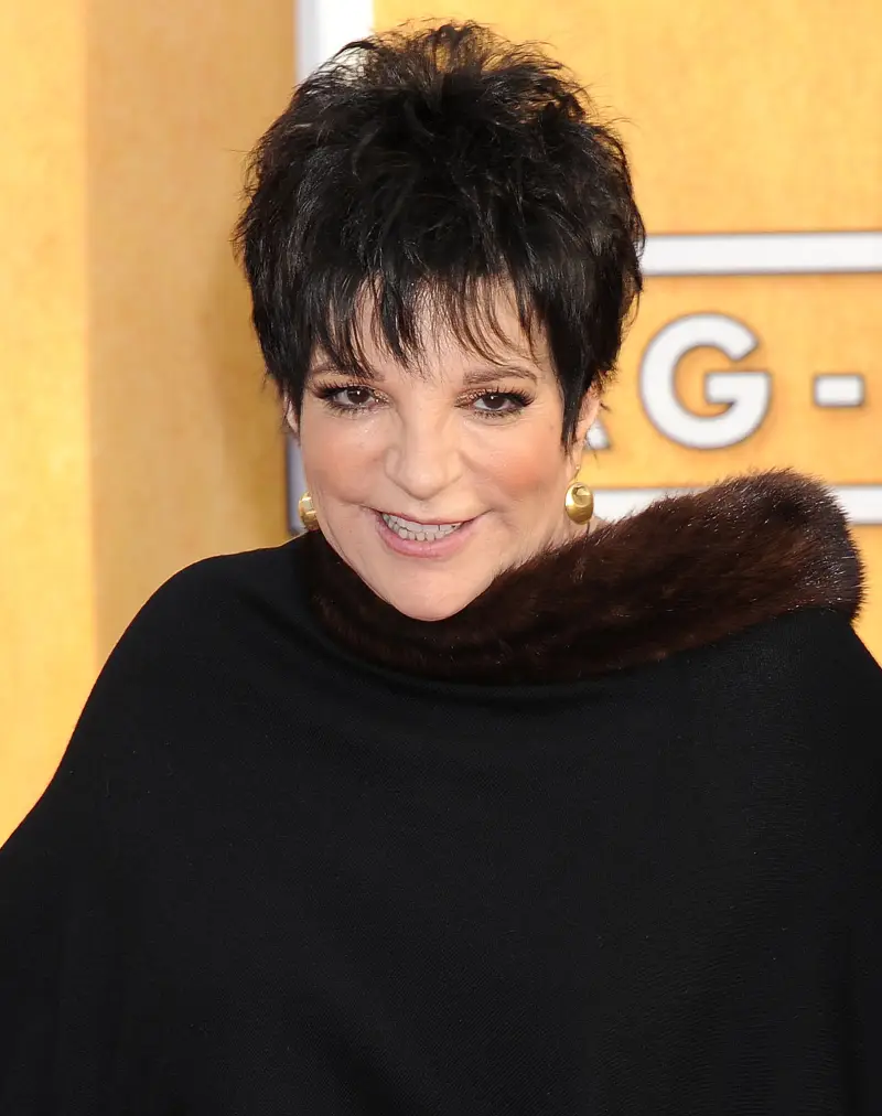 Liza Minnelli Checks Into Rehab Again For Alcohol Abuse