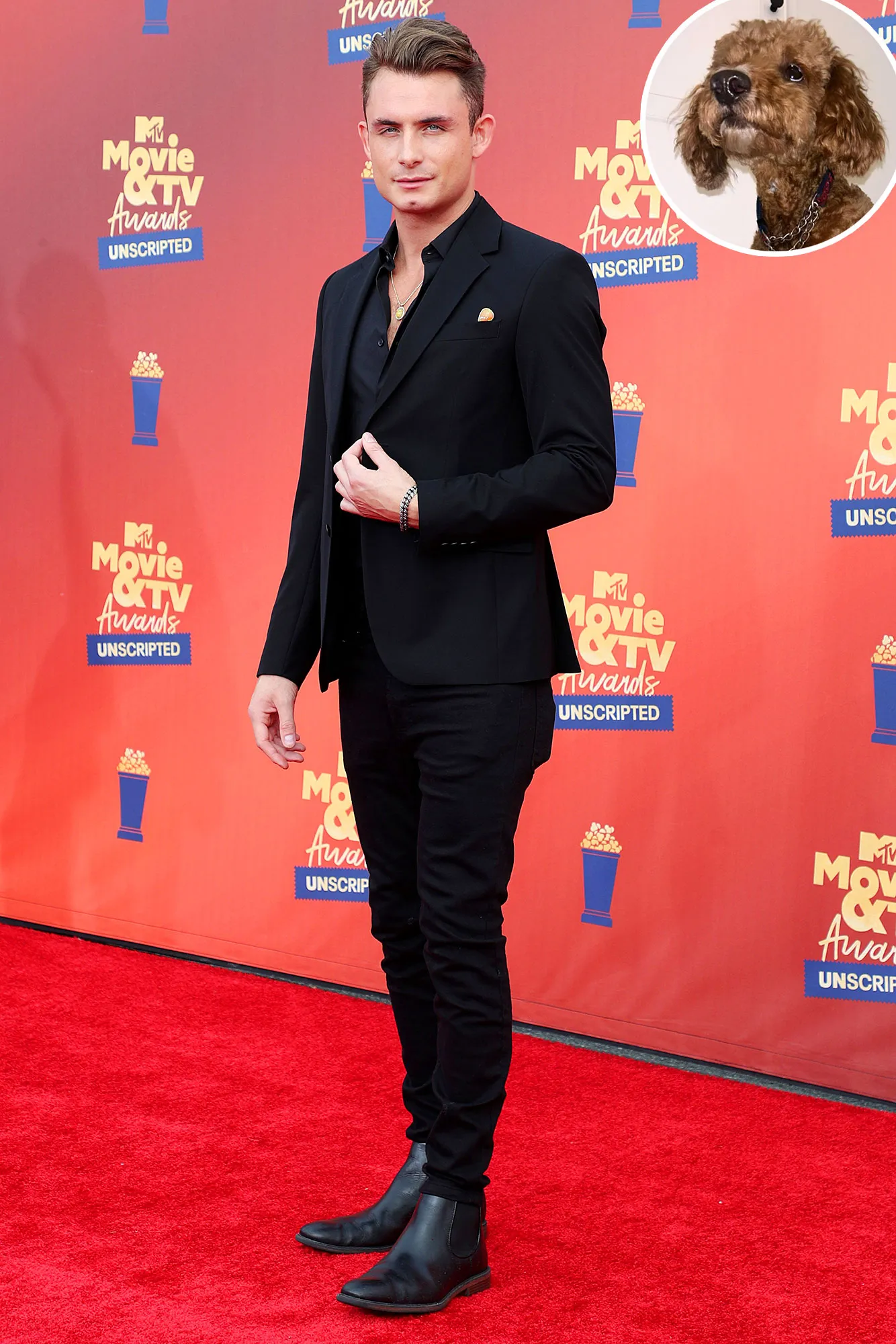 Promo James Kennedy Renames Little Beauty Graham After Dog Alleged Biting