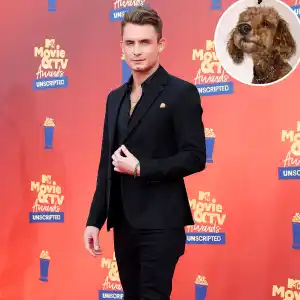 Promo James Kennedy Renames Little Beauty Graham After Dog Alleged Biting