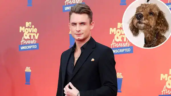 Promo James Kennedy Renames Little Beauty Graham After Dog Alleged Biting