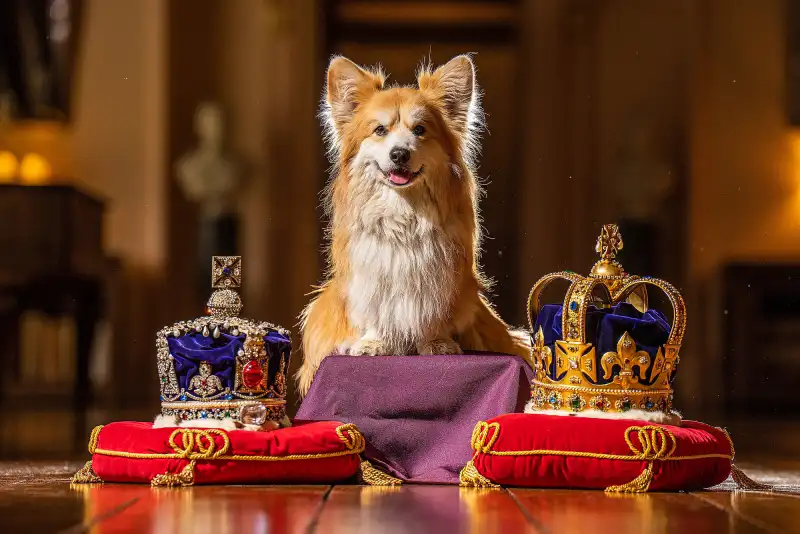 Sarah Ferguson Recalls Taking the Royal Corgis on the ‘Special’ Path Queen Elizabeth II Used to Do