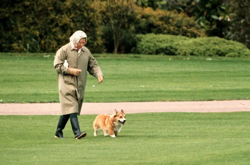 Sarah Ferguson Recalls Taking the Royal Corgis on the ‘Special’ Path Queen Elizabeth II Used to Do