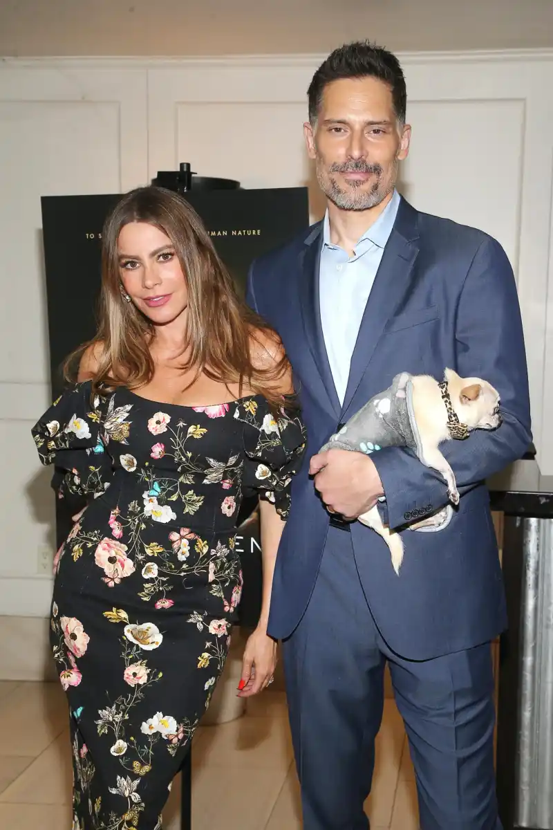 Sofia Vergara and Joe Manganiello Split After 7 Years of Marriage 262