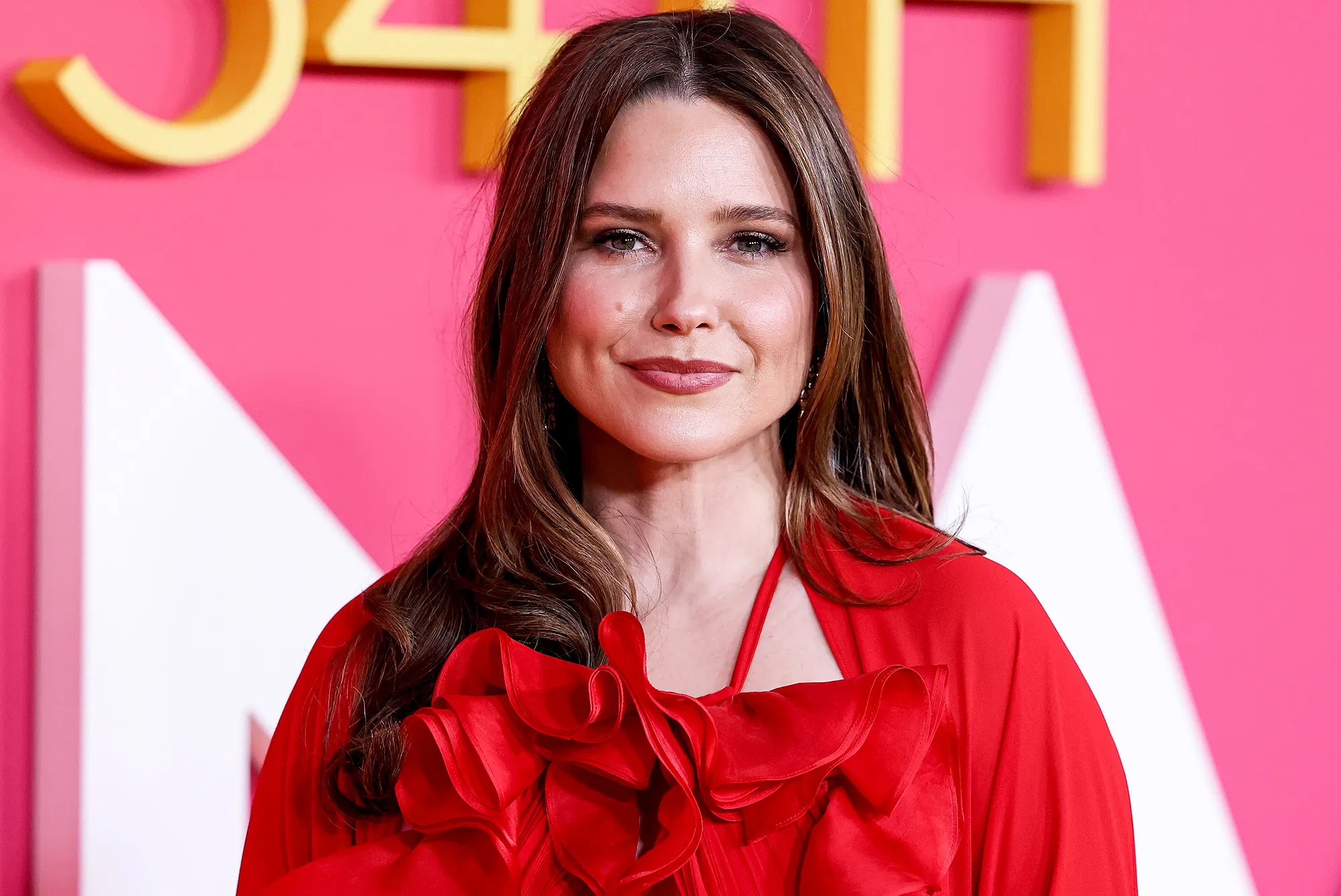 Sophia Bush and "One Tree Hill" Costars Tell Fans to Switch From Streaming to DVDs Amid SAG Strike