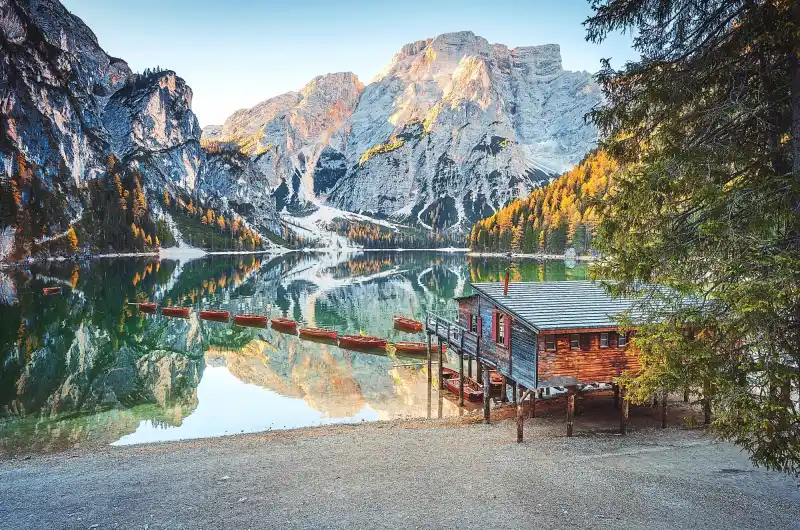 UFC Hall of Famer Rhonda Rousey Wants to Whoop Gina Carano s Ass to Thank Her for Being an MMA Pioneer 284