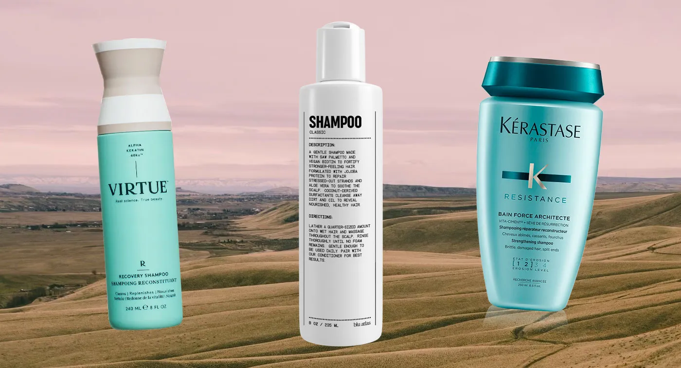 13 Best Shampoos for Dry Damaged Hair