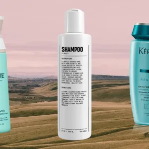 13 Best Shampoos for Dry Damaged Hair