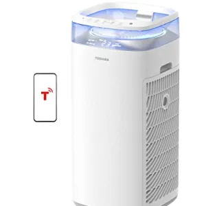Toshiba H13 True HEPA Air Purifier
