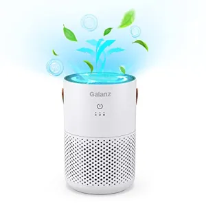 Galanz Personal Air Purifier
