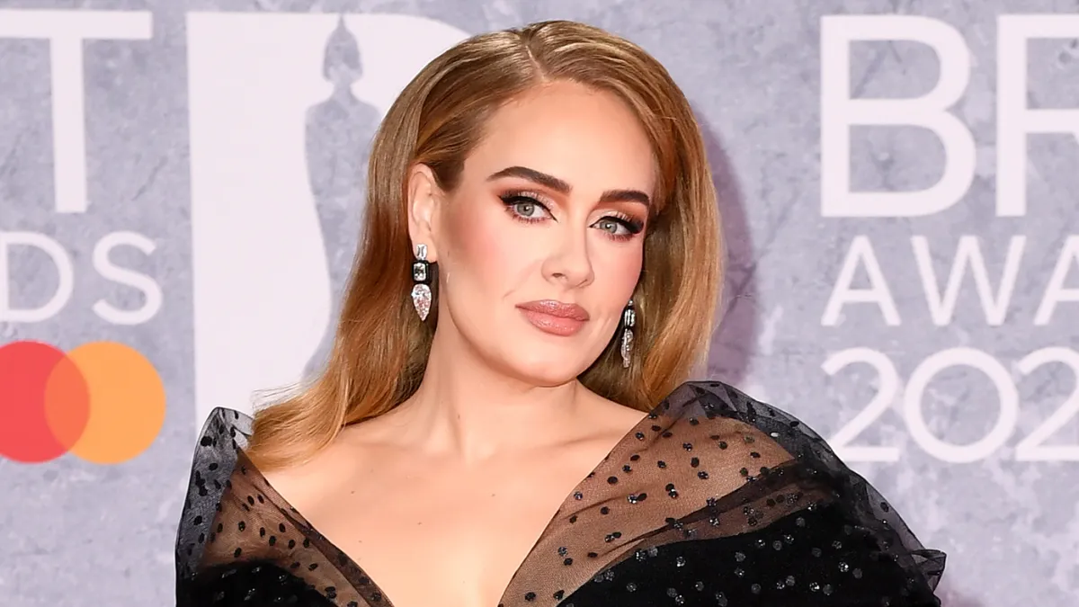 Adele Stops Show to Call Out Security Guard for Bothering Fan