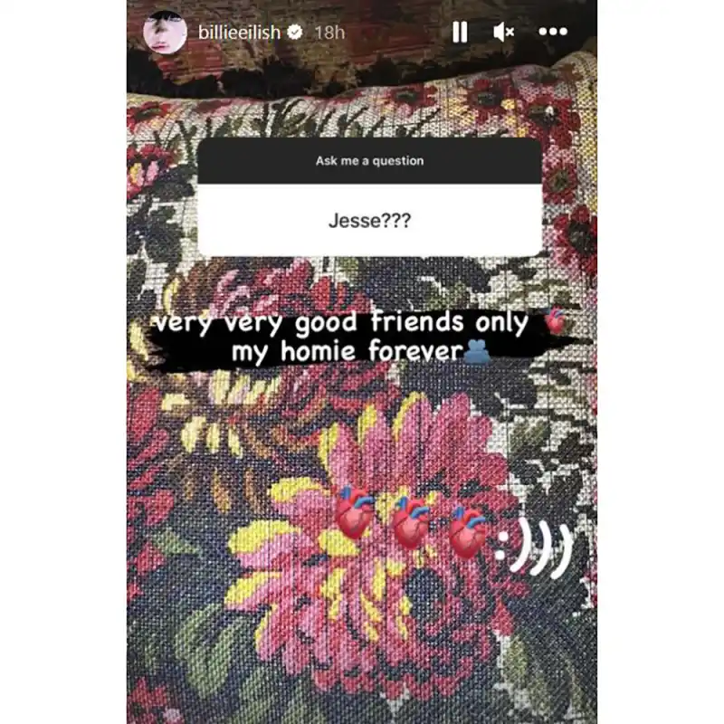 Billie Eilish Says Jesse Rutherford Is Her ‘Homie Forever’ Less Than 1 Year After Split