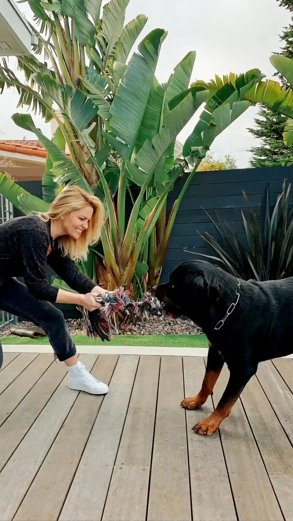 Candace Cameron Bure Mourns Loss of Dog Boris Life Isn t the Same Without You 278