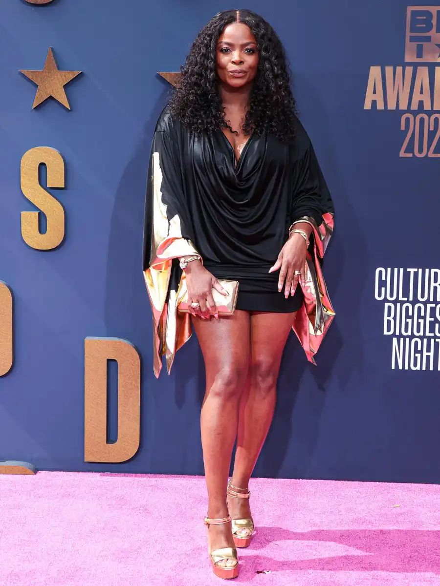 Celebrities Wearing Little Black Dresses Photos 384 Janelle James