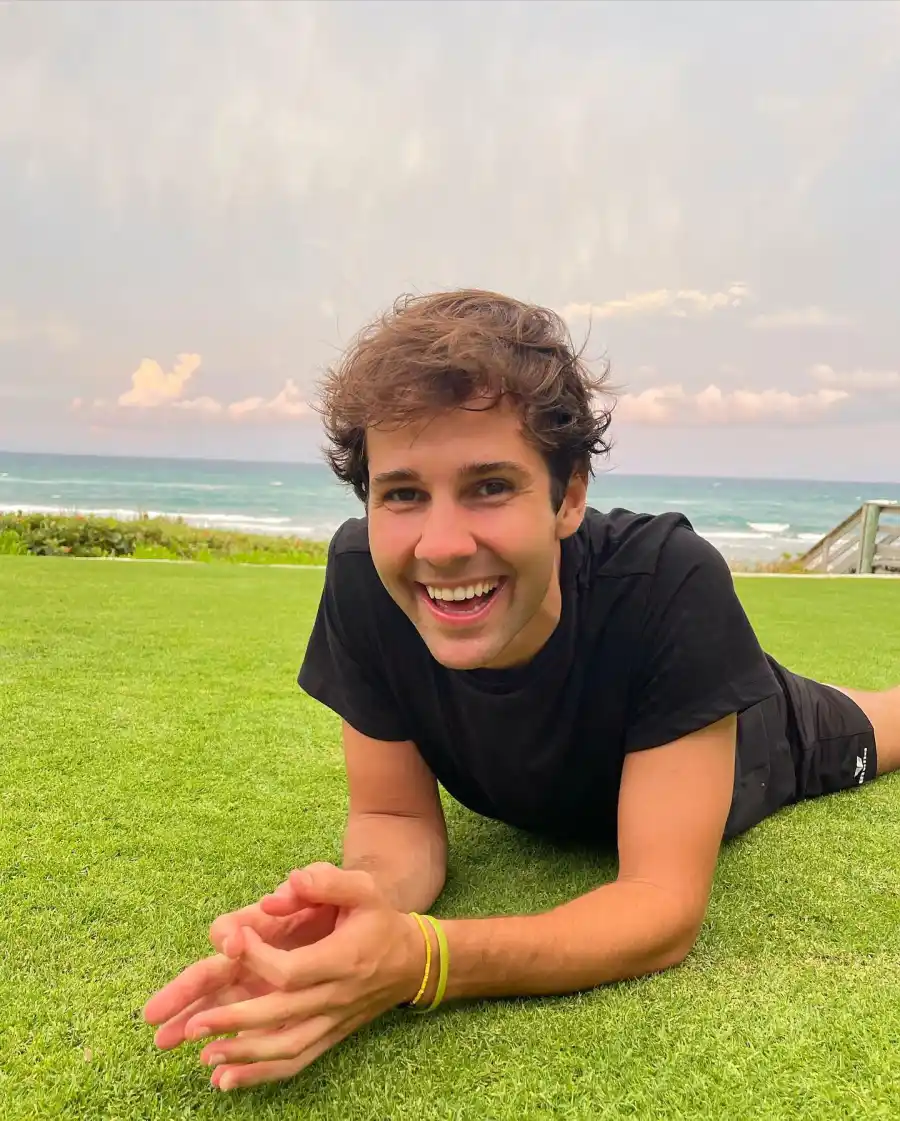 David Dobrick Lollapalooza 2023 Attendees