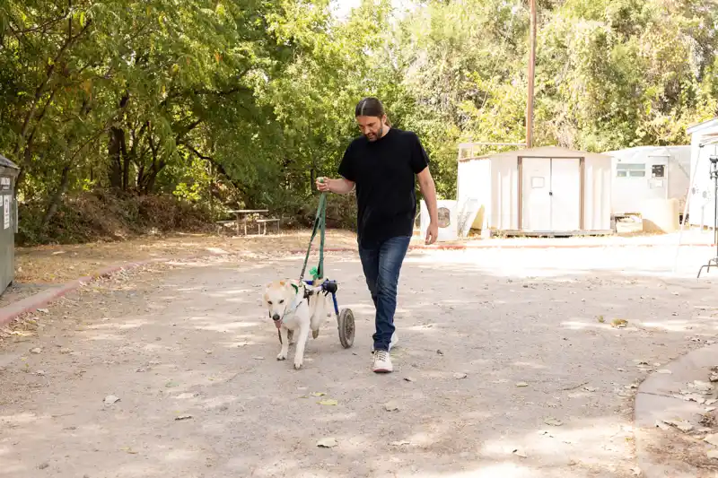 Jonathan Van Ness Talks Haircare