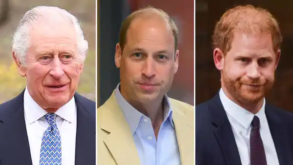 King Charles III Just Put Prince William in Charge of Prince Harry s Old Military Unit 267