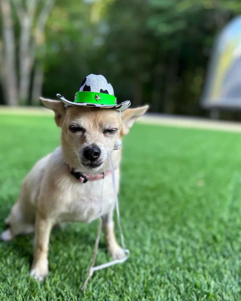 Miranda Lambert-s Shirtless Husband Is Making Summer Extra Hot