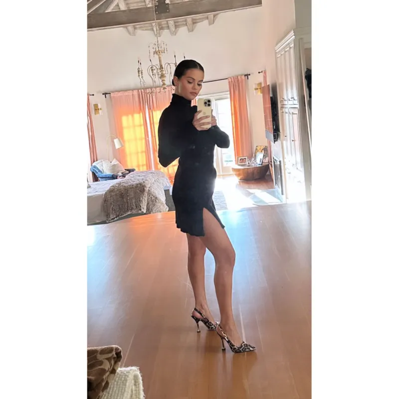 Selena Gomez and Francia Raisa Unintentionally Rock Matching Leopard-Print Shoes at Dinner