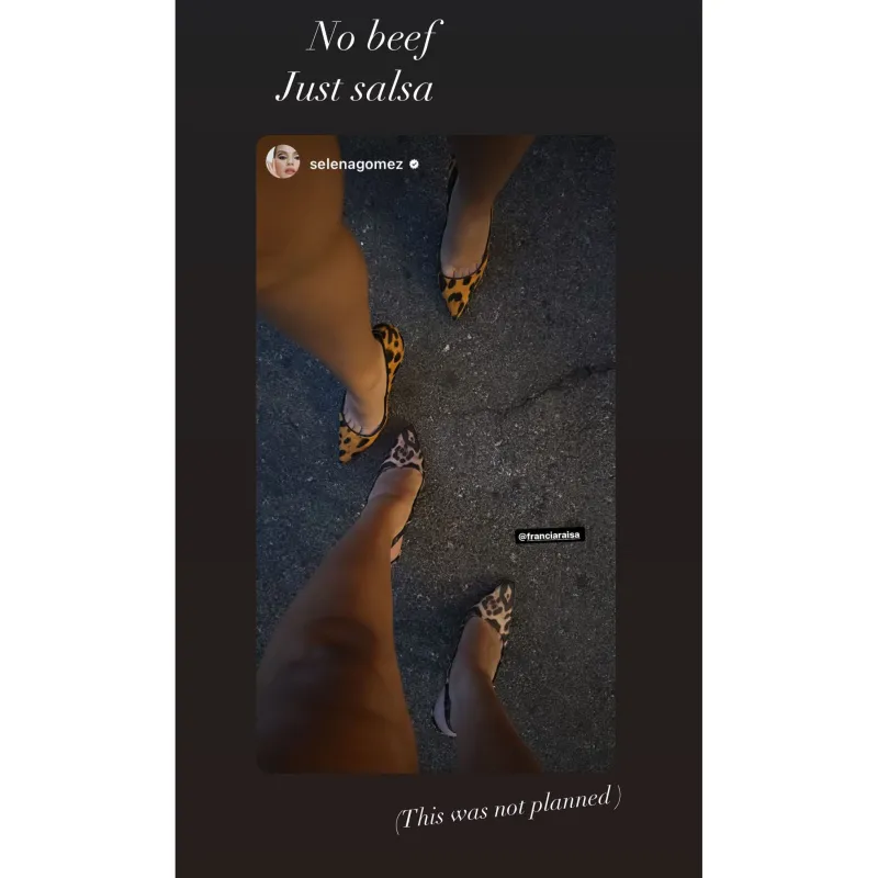 Selena Gomez and Francia Raisa Unintentionally Rock Matching Leopard-Print Shoes at Dinner