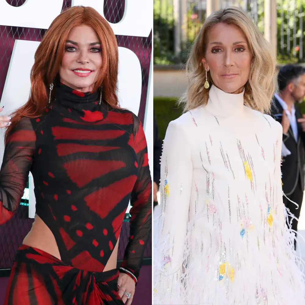 Shania Twain Hopes to Connect With Celine Dion