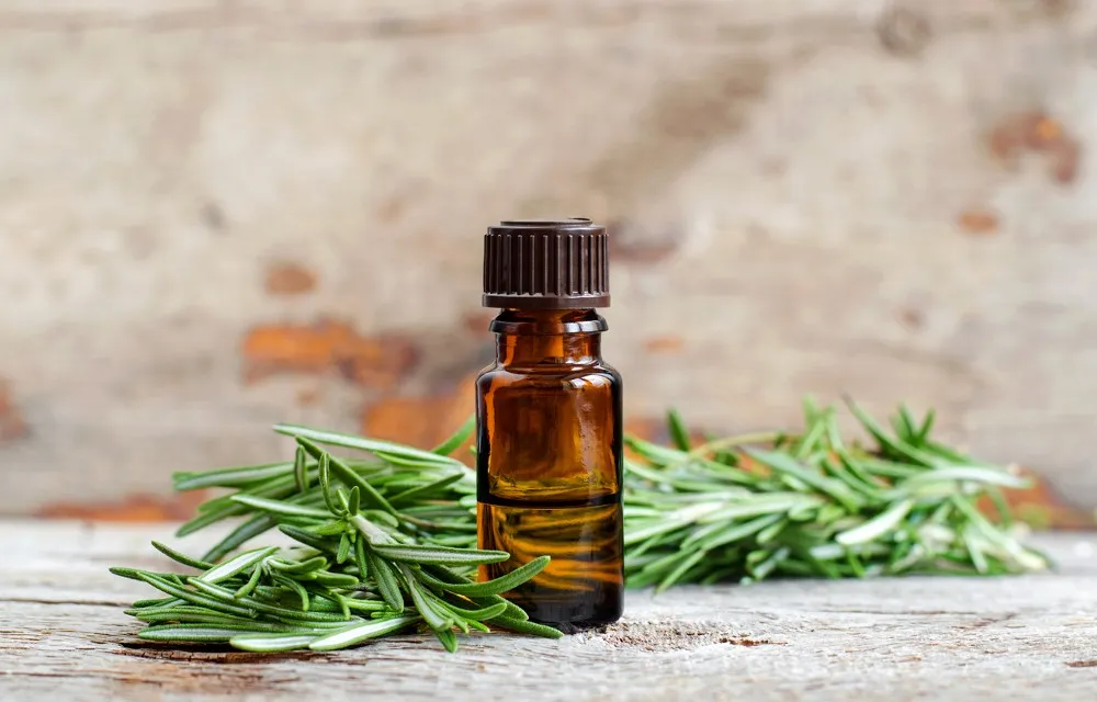 Best Rosemary Oil for Hair