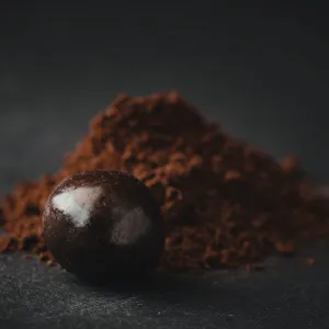 1446 - Cacao Powder Benefits