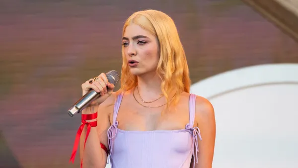 Lorde Reflects on Year of Pain