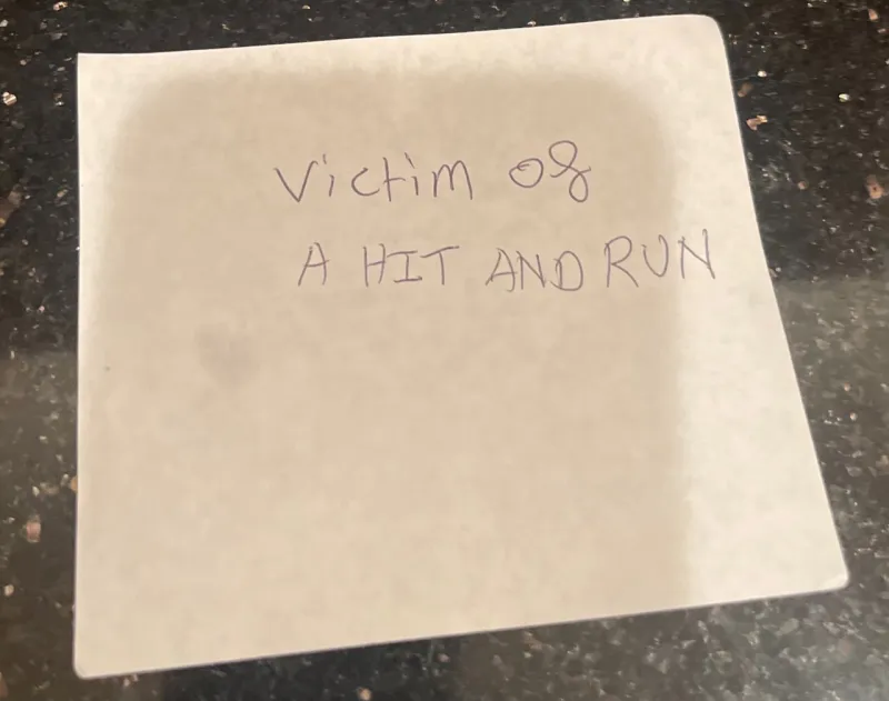 RHOC’s Shannon Beador Was Caught for DUI and Hit-and-Run Accident by Leaking Automobile Fluid