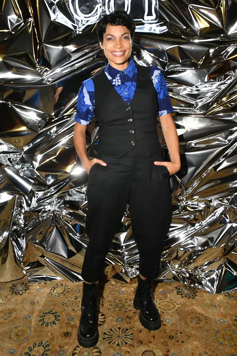 Rosario Dawson Hot Pics