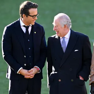 Ryan Reynolds Went to Monarchy Bootcamp Before Meeting Prince Charles 281
