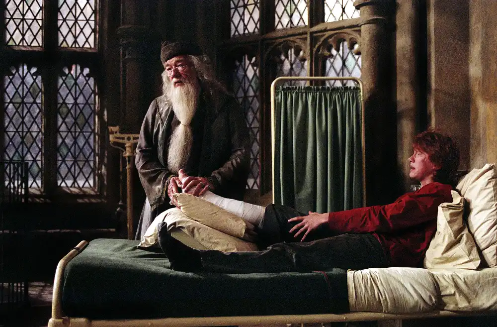 Sir Michael Gambon, Harry Potter&rsquo;s Dumbledore, Dead at 82