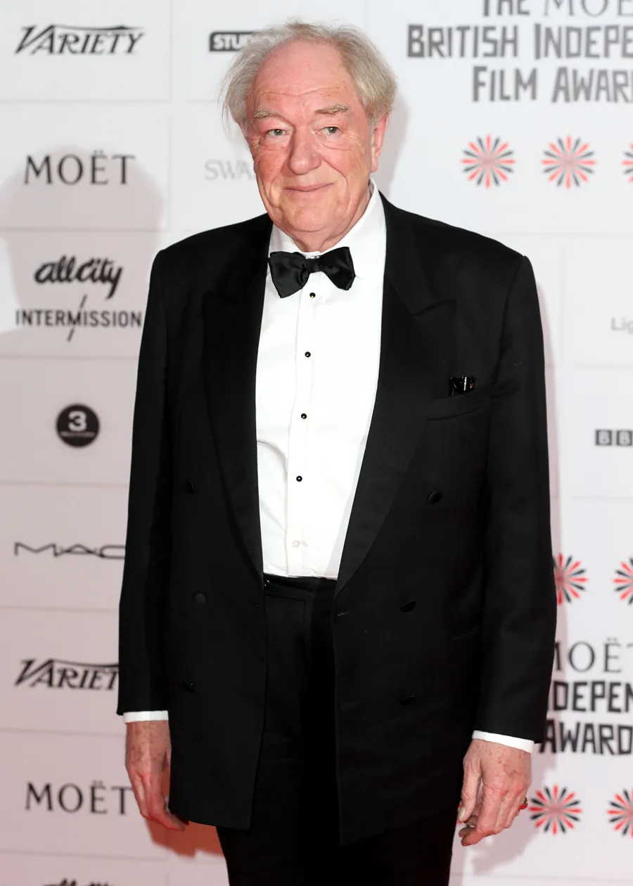 Sir Michael Gambon, Harry Potter’s Dumbledore, Dead at 82