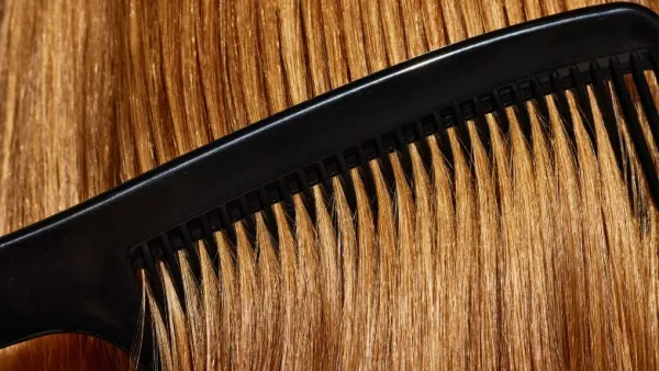 Best Combs for Wet Hair and Styling