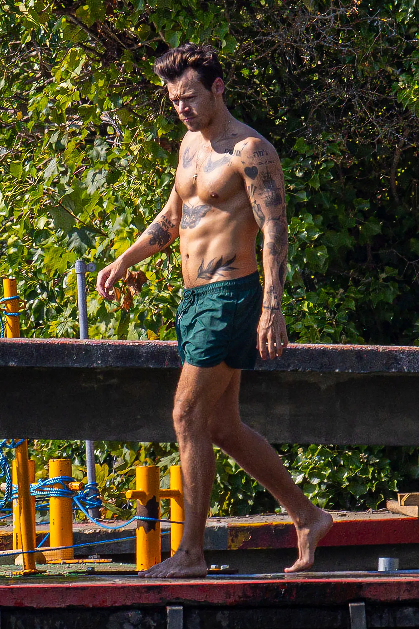 Harry Styles Flashes His Ridiculously Toned Abs While Swimming in British Duck Pond: Photos