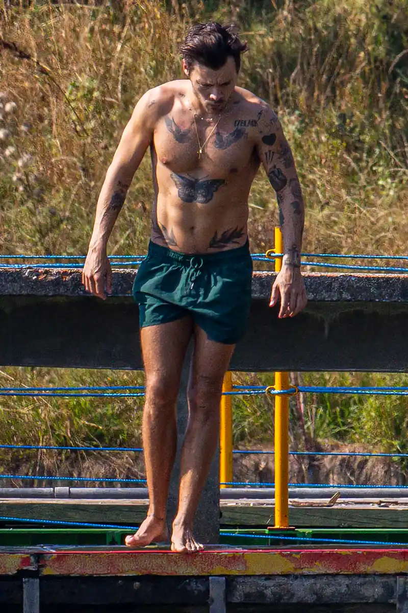 Harry Styles Flashes His Ridiculously Toned Abs While Swimming in British Duck Pond: Photos