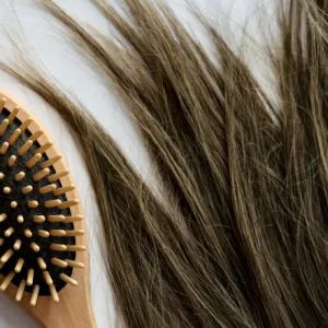 BEst Wet Dry Hair Brush