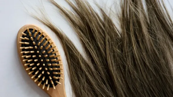 BEst Wet Dry Hair Brush