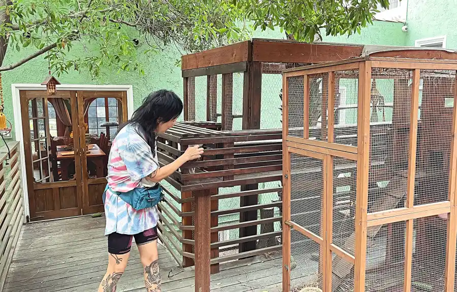 Margaret Cho's 'Live and Livid' Tour is the Purr-fect Place for Her 3 Cats: It's 'Fully Equipped'