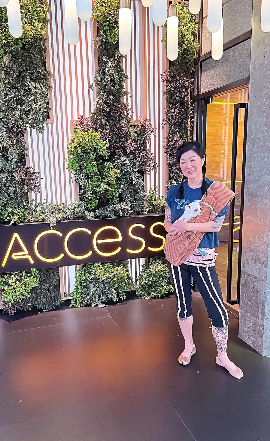 Margaret Cho's 'Live and Livid' Tour is the Purr-fect Place for Her 3 Cats: It's 'Fully Equipped'