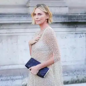 Charlize Theron and Boyfriend Alex Dimitrijevic Are More In Love Than Ever Inside Their Romance 430