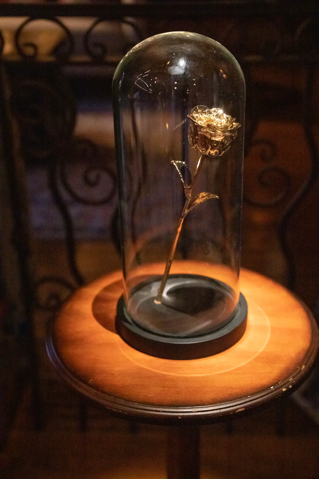 a gold rose on The Golden Bachelor