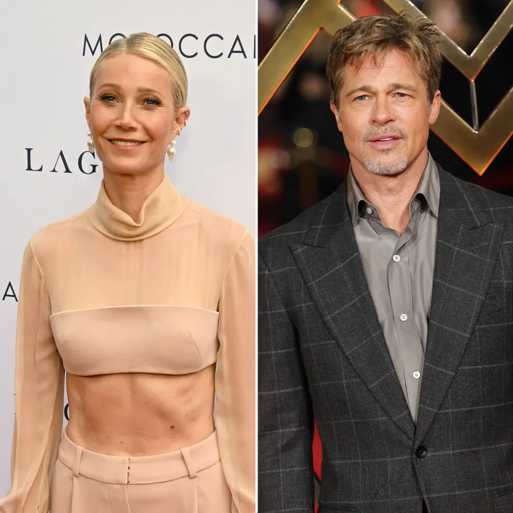 Gwyneth Paltrow on Brad Pitt Skincare Line