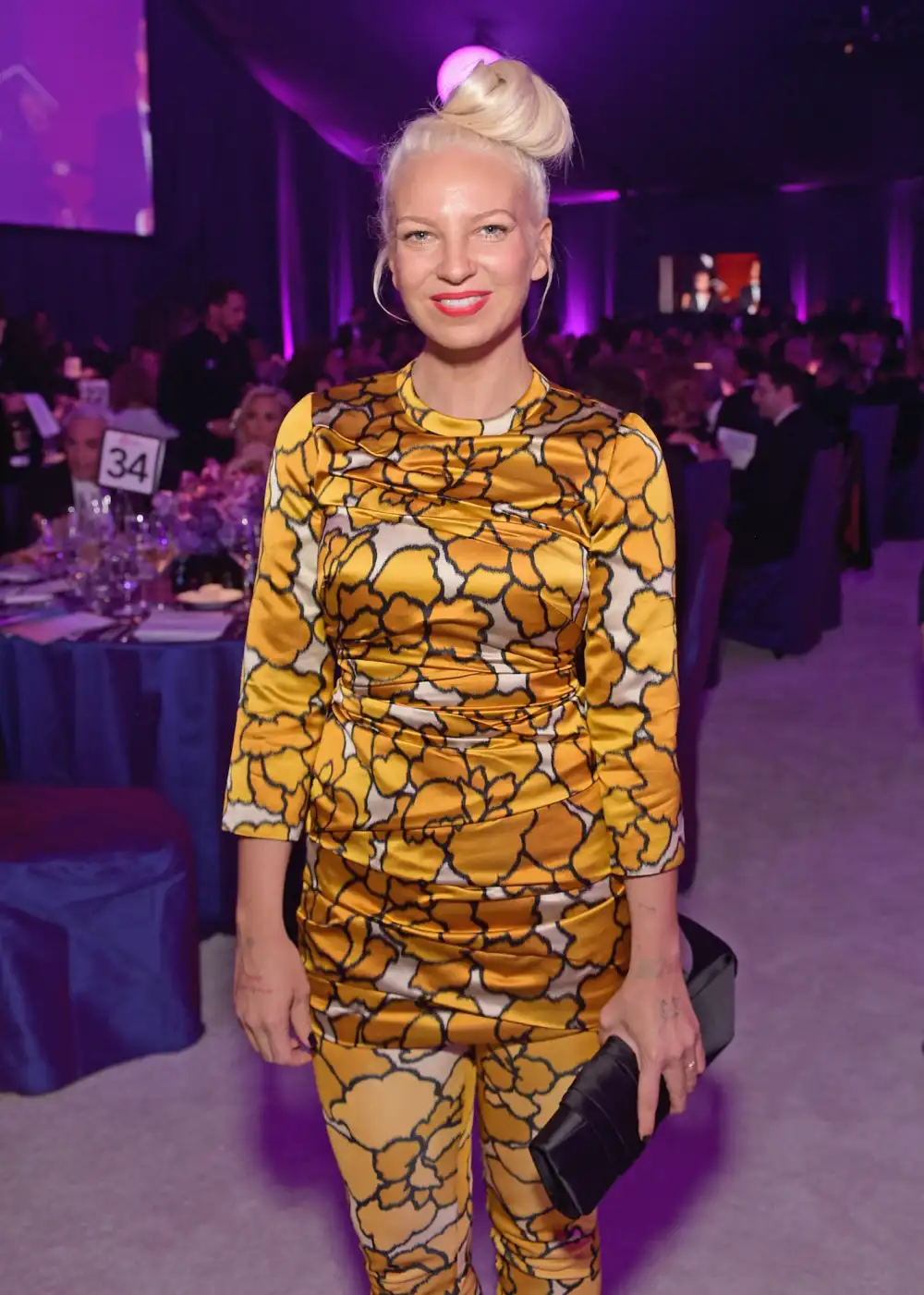 Sia Admitted to Getting a Facelift During Speech