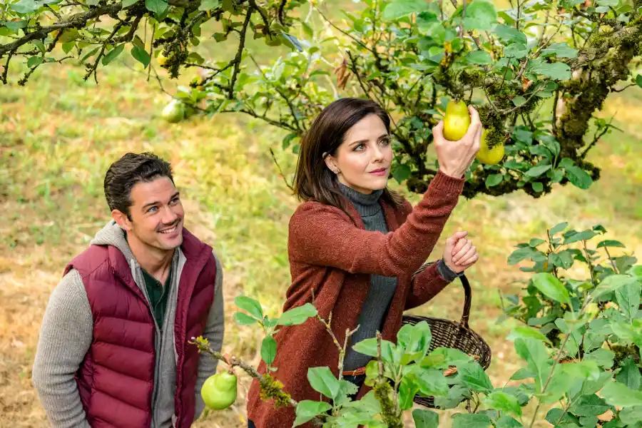 Things You ll Find in (Almost) Every Fall Hallmark Channel Movie — Luckily Pumpkins 382