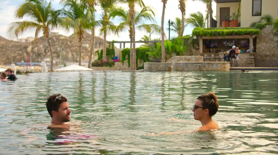 Luxury Handbag Shoppings Top 23 Reality TV Moments of the Year